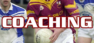 coaching></a></div>
		</li><li id=